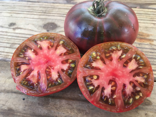 Black Krim Tomato Plant 2 Pack